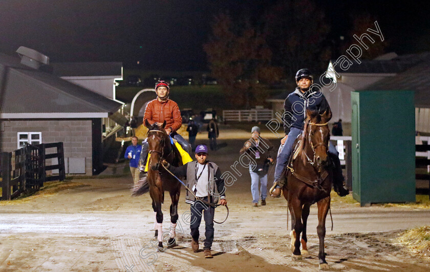 Flightline-0001 
 FLIGHTLINE training for the Breeders' Cup Classic
Keeneland USA 2 Nov 2022 - Pic Steven Cargill / Racingfotos.com