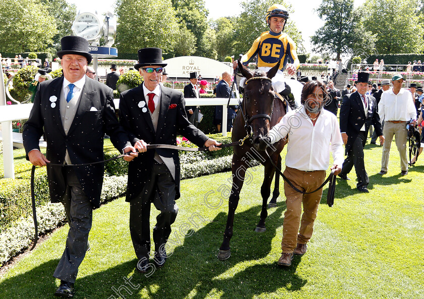 Shang-Shang-Shang-0008 
 SHANG SHANG SHANG (Joel Rosario) after The Norfolk Stakes
Royal Ascot 21 Jun 2018 - Pic Steven Cargill / Racingfotos.com