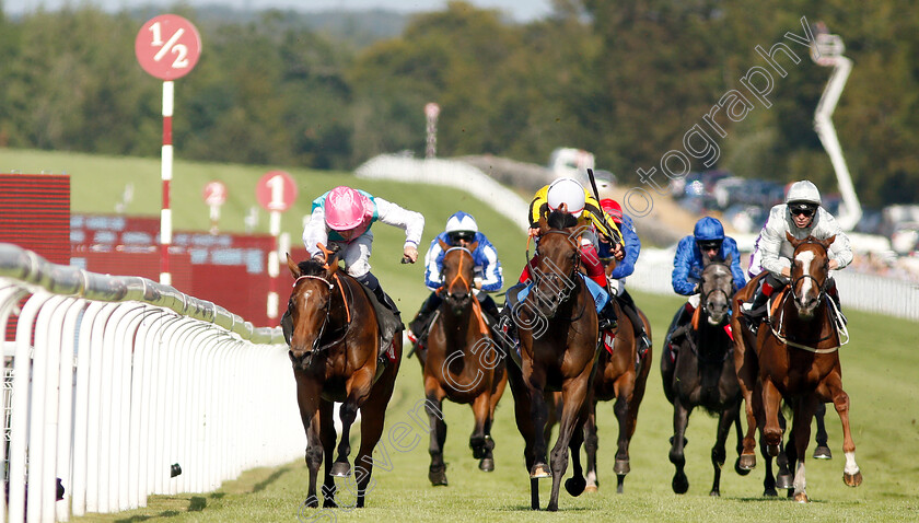 Vividly-0002 
 VIVIDLY (left, Kieran Shoemark) beats CRAYLANDS (centre) in The Markel Insurance British EBF Maiden Fillies Stakes
Goodwood 1 Aug 2019 - Pic Steven Cargill / Racingfotos.com