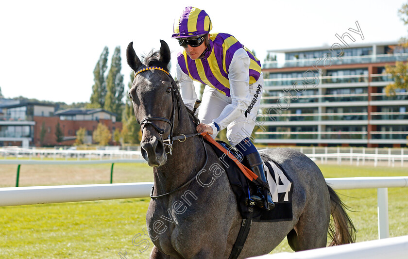 Populaire-0001 
 POPULAIRE (Jim Crowley)
Newbury 20 Sep 2019 - Pic Steven Cargill / Racingfotos.com