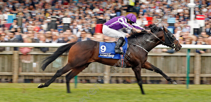 U-S-Navy-Flag-0007 
 U S NAVY FLAG (Ryan Moore) wins The Darley Dewhurst Stakes Newmarket 14 Oct 2017 - Pic Steven Cargill / Racingfotos.com