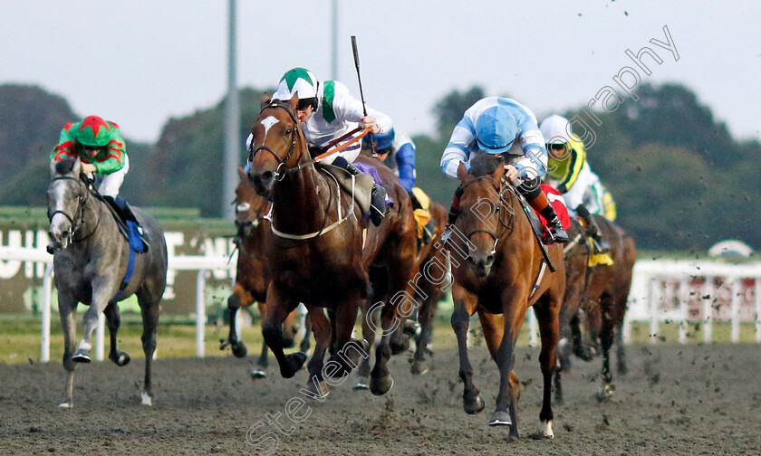 Amiloc-0004 
 AMILOC (right, Rossa Ryan) beats GREEN STORM (left) in The RacingTV EBF Restricted Novice Stakes
Kempton 6 Sep 2024 - Pic Steven Cargill / Racingfotos.com