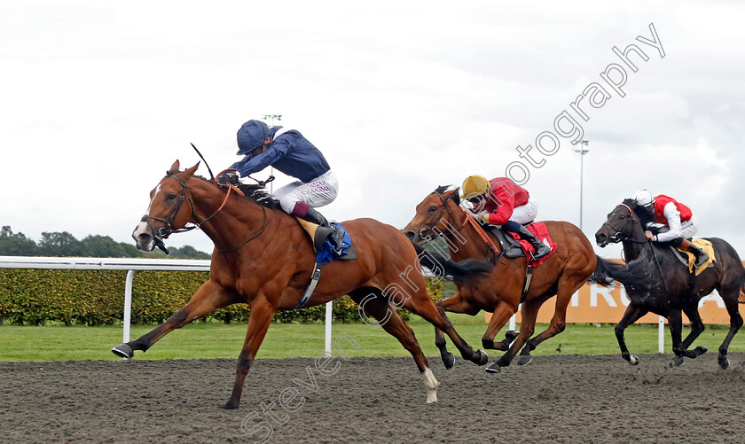 Gallant-0002 
 GALLANT (Oisin Murphy) wins The Polytrack British Stallion Studs EBF Novice Stakes
Kempton 2 Oct 2024 - Pic Steven Cargill / Racingfotos.com