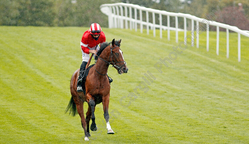 Dark-Lion-0001 
 DARK LION (Ryan Moore)
Sandown 23 Aug 2020 - Pic Steven Cargill / Racingfotos.com