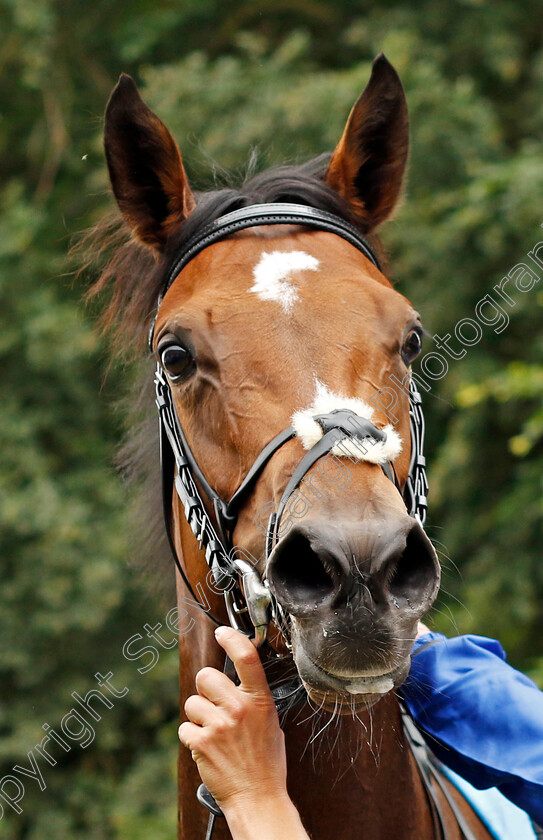 Star-Of-Mystery-0010 
 STAR OF MYSTERY winner of The Maureen Brittain Memorial Empress Fillies Stakes
Newmarket 1 Jul 2023 - Pic Steven Cargill / Racingfotos.com