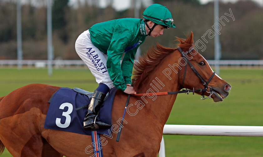 Raven s-Lady-0002 
 RAVEN'S LADY (Oisin Murphy) Wolverhampton 4 Jan 2018 - Pic Steven Cargill / Racingfotos.com