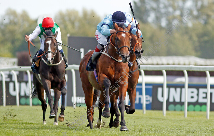 Thunderous-0003 
 THUNDEROUS (Franny Norton) wins The Denford Stakes 
Newbury 17 Aug 2019 - Pic Steven Cargill / Racingfotos.com