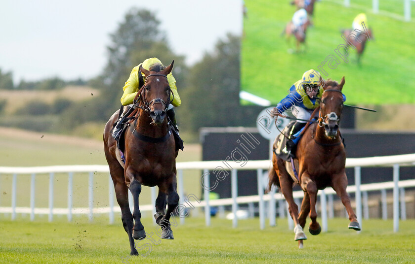 Terwada-0004 
 TERWADA (James Doyle) wins The Every Race Live On Racing TV Handicap
Newmarket 28 Jul 2023 - Pic Steven Cargill / Racingfotos.com