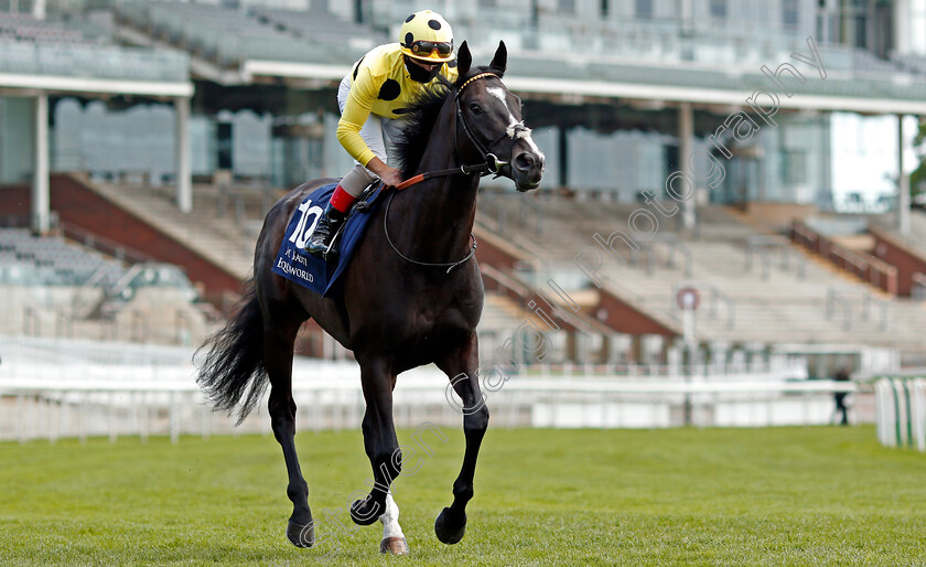 Royal-Champion-0001 
 ROYAL CHAMPION (Andrea Atzeni)
York 13 May 2021 - Pic Steven Cargill / Racingfotos.com