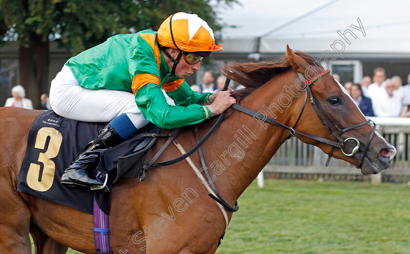 Laguna-Veneta-0007 
 LAGUNA VENETA (William Buick) wins The racingtv.com/freetrial Fillies Handicap
Newmarket 22 Jul 2022 - Pic Steven Cargill / Racingfotos.com