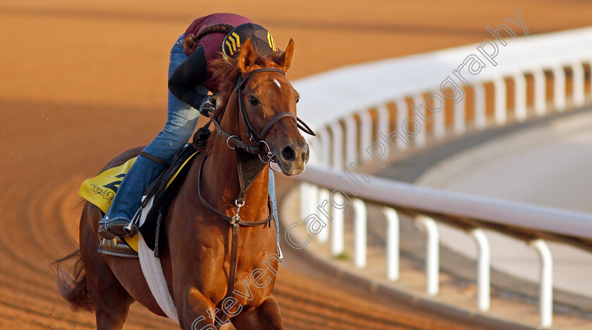 Channel-Cat-0001 
 CHANNEL CAT training for the Neom Turf Cup
King Abdulaziz Racetrack, Riyadh, Saudi Arabia 24 Feb 2022 - Pic Steven Cargill / Racingfotos.com