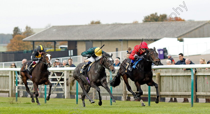 Shemozzle-0005 
 SHEMOZZLE (centre, Hector Crouch) beats SO LOGICAL (right) in The racingtv.com Fillies Restricted Novice Stakes
Newmarket 25 Oct 2023 - Pic Steven Cargill / Racingfotos.com