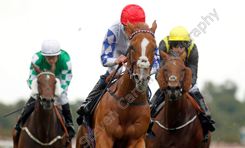 Designer-0001 
 DESIGNER (William Buick) wins The IRE Incentive It Pays To Buy Irish Fillies Handicap
York 23 Aug 2023 - Pic Steven Cargill / Racingfotos.com