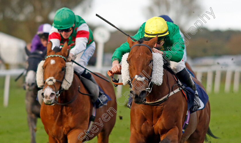 Dapper-Valley-0003 
 DAPPER VALLEY (Tom Marquand) wins The Join Moulton Racing Syndicate Handicap
Yarmouth 22 Oct 2024 - Pic Steven Cargill / Racingfotos.com