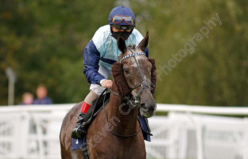 Prefontaine-0001 
 PREFONTAINE (Andrea Atzeni)
Lingfield 26 Aug 2020 - Pic Steven Cargill / Racingfotos.com