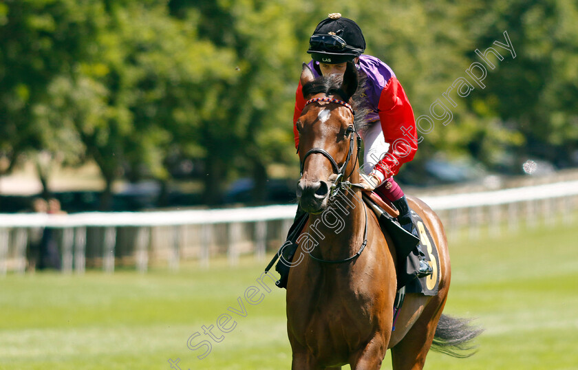 Blue-Missile 
 BLUE MISSILE (Cieren Fallon)
Newmarket 9 Jul 2022 - Pic Steven Cargill / Racingfotos.com