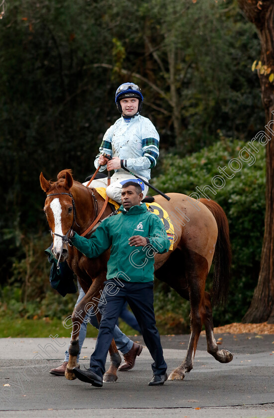 Not-So-Sleepy-0005 
 NOT SO SLEEPY (Sean Bowen) winner of The Betfair Fighting Fifth Hurdle
Sandown 9 Dec 2023 - Pic Steven Cargill / Racingfotos.com