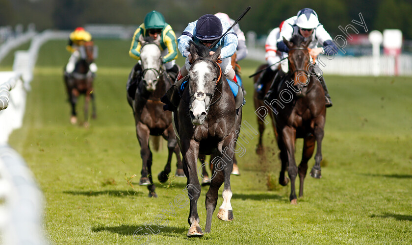 Ascension-0006 
 ASCENSION (Andrea Atzeni) wins The BetVictor Handicap
Newbury 15 May 2021 - Pic Steven Cargill / Racingfotos.com