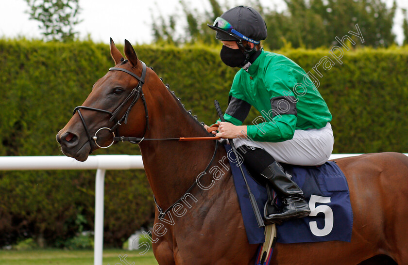 Kim-Wexler-0001 
 KIM WEXLER (Thomas Greatrex)
Wolverhampton 31 Jul 2020 - Pic Steven Cargill / Racingfotos.com