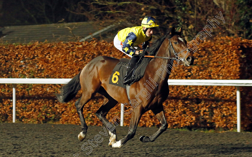 Kamboo-0005 
 KAMBOO (Finley Marsh) winner of The Unibet More Boosts In More Races EBF Novice Stakes Div1
Kempton 6 Dec 2023 - Pic Steven Cargill / Racingfotos.com