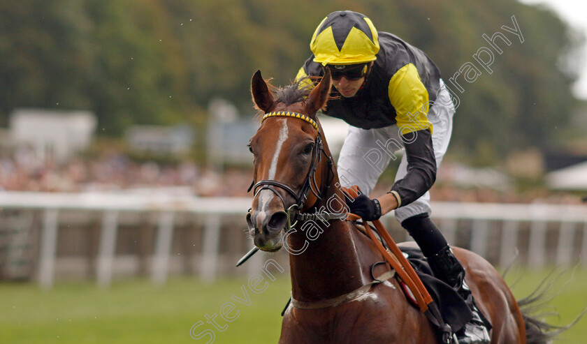 Wajd-0007 
 WAJD (Louis Steward) wins The racingtv.com Handicap
Newmarket 29 Jul 2022 - Pic Steven Cargill / Racingfotos.com