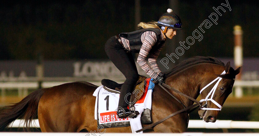 Life-Is-Good-0002 
 LIFE IS GOOD training for The Dubai World Cup
Meydan, Dubai, 24 Mar 2022 - Pic Steven Cargill / Racingfotos.com