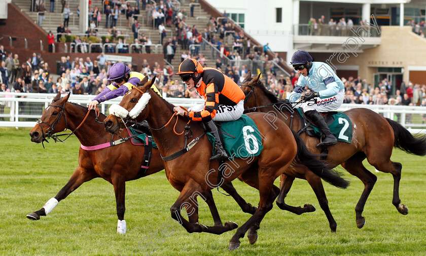 Northern-Beau-0003 
 NORTHERN BEAU (Richie McLernon) beats HAPPY DIVA (left) in The Thoroughbred Breeders Association Mares Handicap Chase
Cheltenham 18 Apr 2019 - Pic Steven Cargill / Racingfotos.com