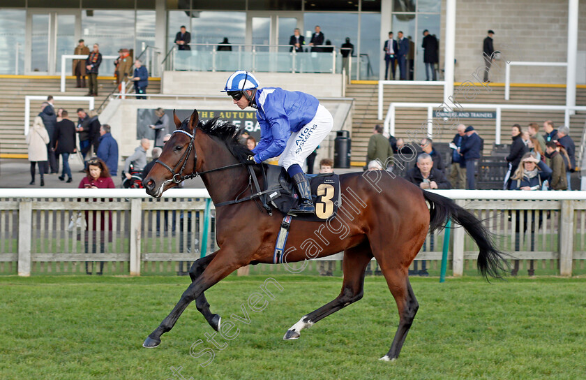 Azaheer 
 AZAHEER (Jim Crowley)
Newmarket 30 Oct 2021 - Pic Steven Cargill / Racingfotos.com