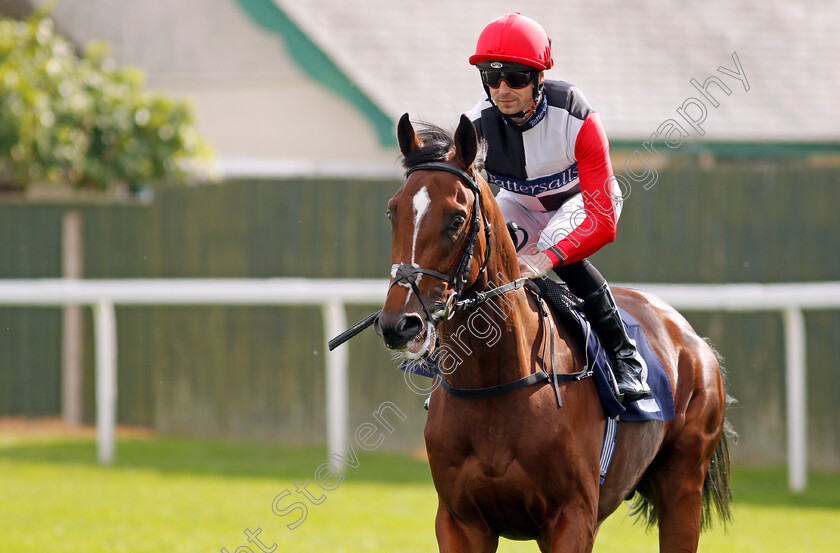 Caesar s-Palace-0001 
 CAESAR'S PALACE (Jack Mitchell)
Yarmouth 16 Sep 2021 - Pic Steven Cargill / Racingfotos.com