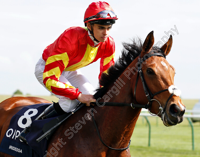 Iridessa-0001 
 IRIDESSA (Donnacha O'Brien)
Newmarket 5 May 2019 - Pic Steven Cargill / Racingfotos.com