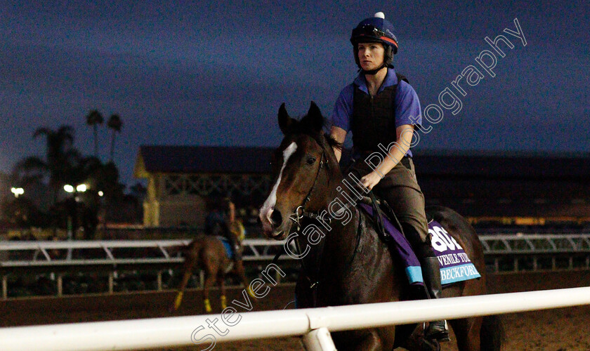 Beckford-0001 
 BECKFORD training for The Breeders' Cup Juvenile Turf at Del Mar USA 31 Oct 2017 - Pic Steven Cargill / Racingfotos.com