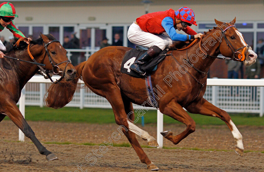 Animal-Instinct-0007 
 ANIMAL INSTINCT (Ryan Tate) wins The totepool Cashback Club At totesport.com EBF Novice Stakes
Chelmsford 24 Oct 2019 - Pic Steven Cargill / Racingfotos.com