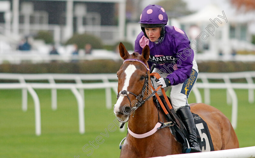 Kracquer-0001 
 KRACQUER (Tabitha Worsley)
Market Rasen 17 Nov 2022 - Pic Steven Cargill / Racingfotos.com