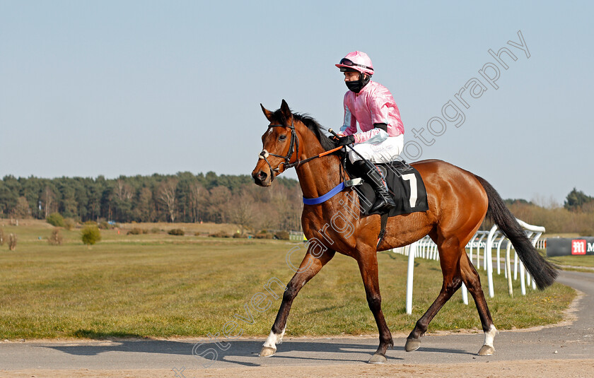 Gilbertina-0001 
 GILBERTINA (Charlie Hammond)
Market Rasen 19 Apr 2021 - Pic Steven Cargill / Racingfotos.com