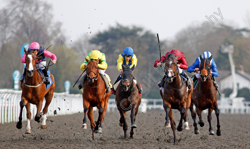 Kings-Shield-0003 
 KINGS SHIELD (2nd right, Oisin Murphy) beats ONE COOL DADDY (2nd left), LAWN RANGER (left), JELLMOOD (centre) and RAJAAM (right) in The Betfred Like Us On Facebook Stakes Kempton 7 Apr 2018 - Pic Steven Cargill / Racingfotos.com