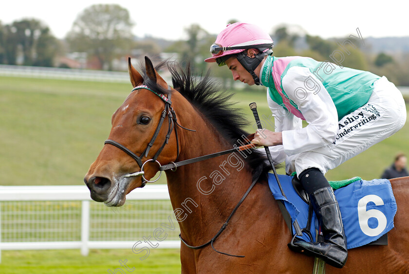 Jalapa-0002 
 JALAPA (Rossa Ryan)
Epsom 25 Apr 2023 - Pic Steven Cargill / Racingfotos.com