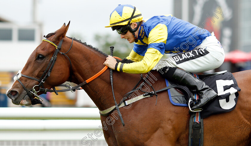 Infanta-Isabella-0006 
 INFANTA ISABELLA (Harry Bentley) wins The Comax Handicap
Newbury 13 Jun 2019 - Pic Steven Cargill / Racingfotos.com