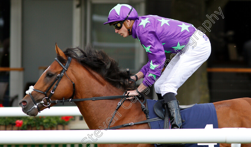 Dragon-Mountain-0001 
 DRAGON MOUNTAIN (James Doyle)
Newmarket 28 Jun 2018 - Pic Steven Cargill / Racingfotos.com