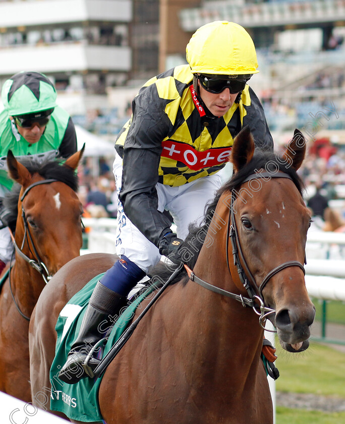 Swift-Asset-0001 
 SWIFT ASSET (Jim Crowley)
Doncaster 8 Sep 2022 - Pic Steven Cargill / Racingfotos.com