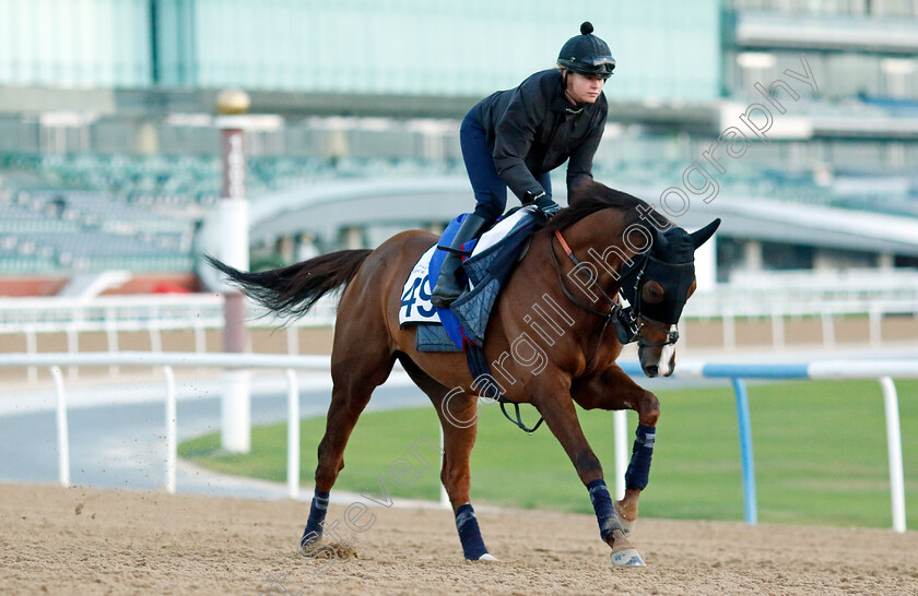 Silent-Film-0001 
 SILENT FILM training at the Dubai Racing Carnival 
Meydan 2 Jan 2025 - Pic Steven Cargill / Racingfotos.com