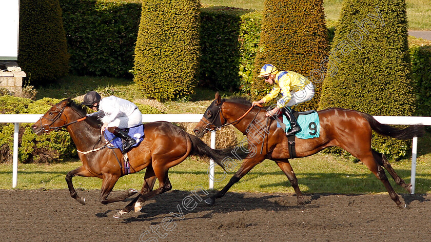 Capofaro-0005 
 CAPOFARO (Thomas Greatrex) beats KINGDOM OF DUBAI (right) in The 100% Profit Boost At 32redsport Apprentice Handicap
Kempton 22 May 2019 - Pic Steven Cargill / Racingfotos.com