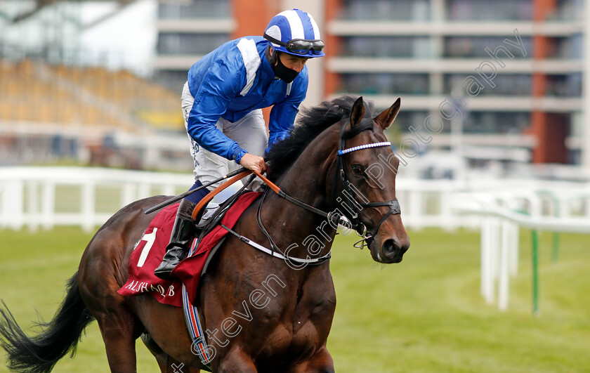 Al-Aasy-0002 
 AL AASY (Jim Crowley) winner of The Al Rayyan Aston Park Stakes
Newbury 15 May 2021 - Pic Steven Cargill / Racingfotos.com