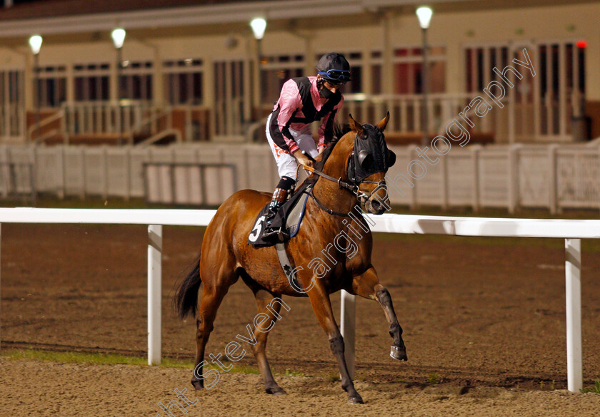 Top-Breeze-0003 
 TOP BREEZE (Tyler Heard)
Chelmsford 8 Oct 2020 - Pic Steven Cargill / Racingfotos.com