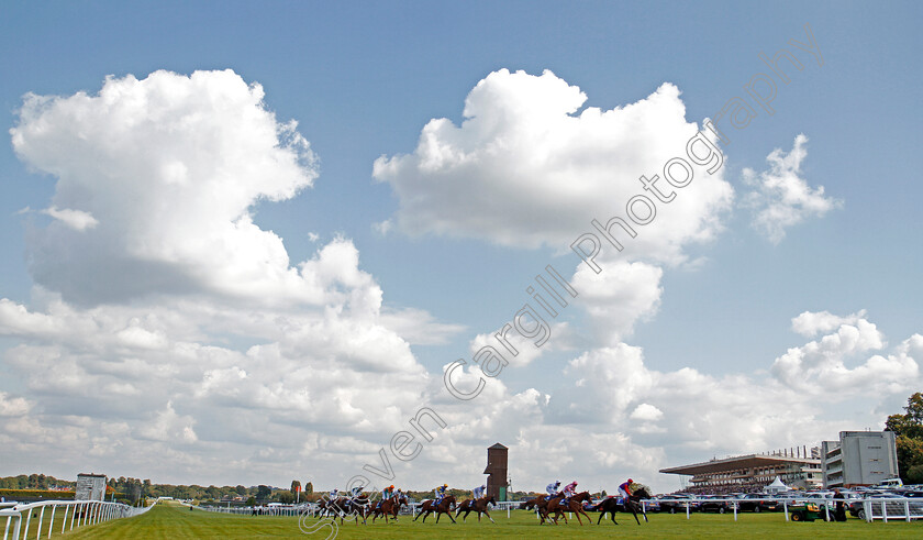 Justice-Lady-0005 
 JUSTICE LADY (Shane Kelly) wins The Betfinder By BetBright Handicap Sandown 2 Sep 2017 - Pic Steven Cargill / Racingfotos.com