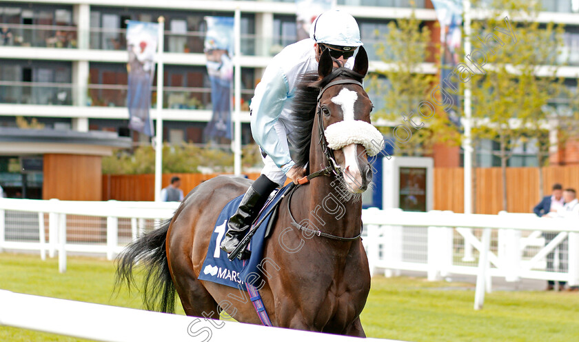 Carnwennan-0001 
 CARNWENNAN (Stevie Donohoe)
Newbury 20 Jul 2019 - Pic Steven Cargill / Racingfotos.com