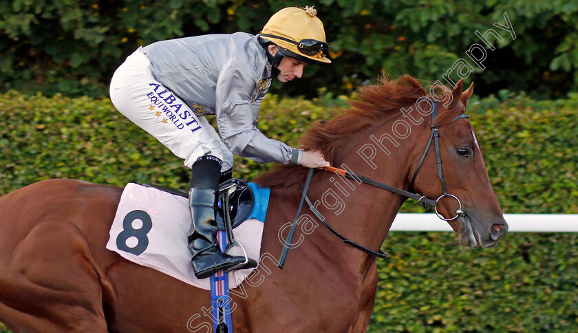 Saeer-0002 
 SAEER (Ryan Moore)
Kempton 2 Oct 2019 - Pic Steven Cargill / Racingfotos.com