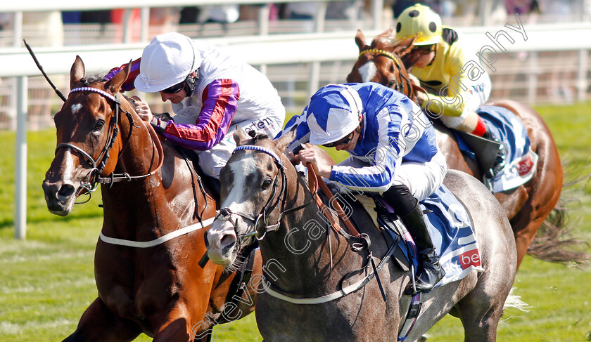 Shine-So-Bright-0004 
 SHINE SO BRIGHT (right, James Doyle) beats LAURENS (left) in The Sky Bet City Of York Stakes
York 24 Aug 2019 - Pic Steven Cargill / Racingfotos.com