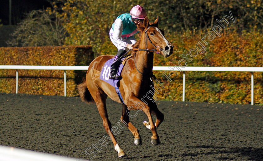 Maytal-0001 
 MAYTAL (Tom Marquand)
Kempton 11 Nov 2020 - Pic Steven Cargill / Racingfotos.com