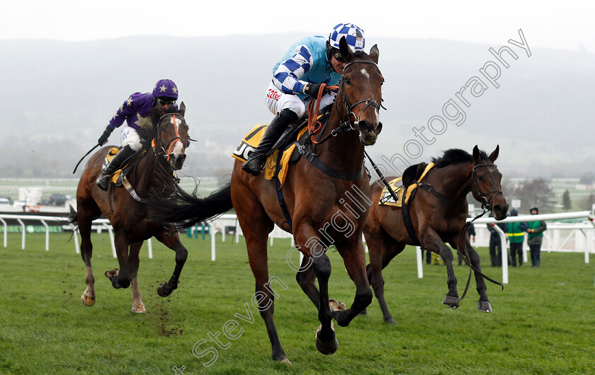 Fanfan-Du-Seuil-0002 
 NELSON RIVER (left, Harry Bannister) catches FANFAN DU SEUIL (right) to win The JCB Triumph Trial Juvenile Hurdle
Cheltenham 15 Dec 2018 - Pic Steven Cargill / Racingfotos.com