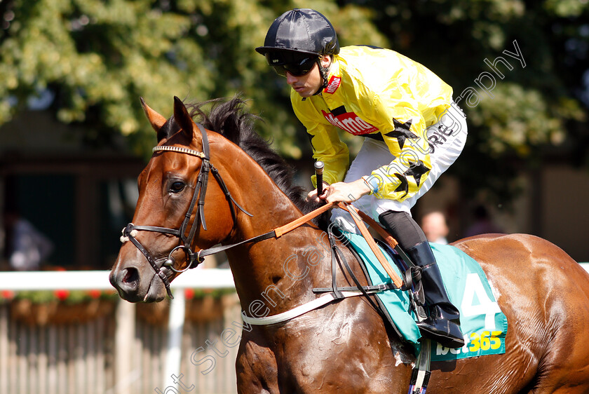 Beringer-0001 
 BERINGER (Martin Harley)
Newmarket 13 Jul 2018 - Pic Steven Cargill / Racingfotos.com